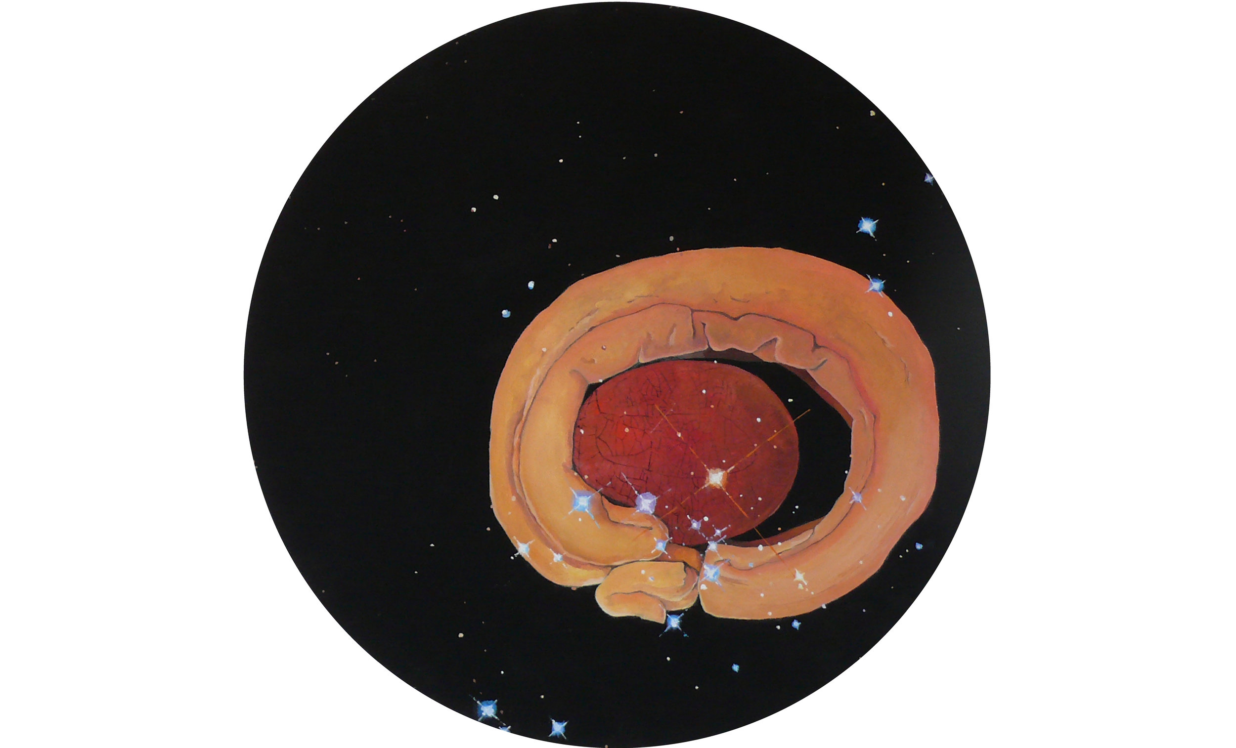 Acacia cyclops/Red nebula