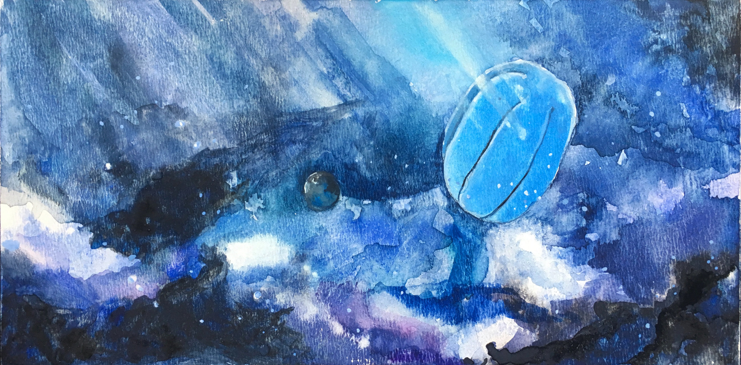 Kalifornijski zlati mak (sketch)