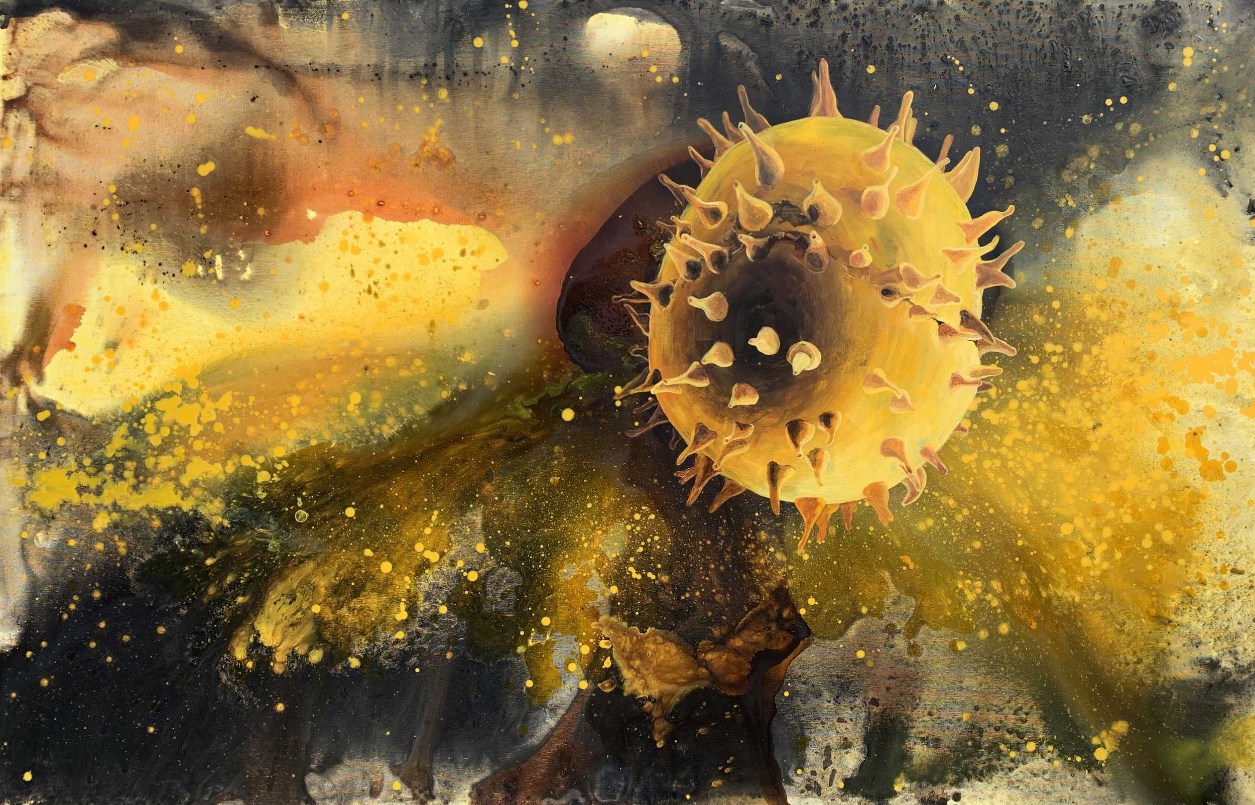 Pelod Nypa fructicans - Mangrove Palm (Areaceae)