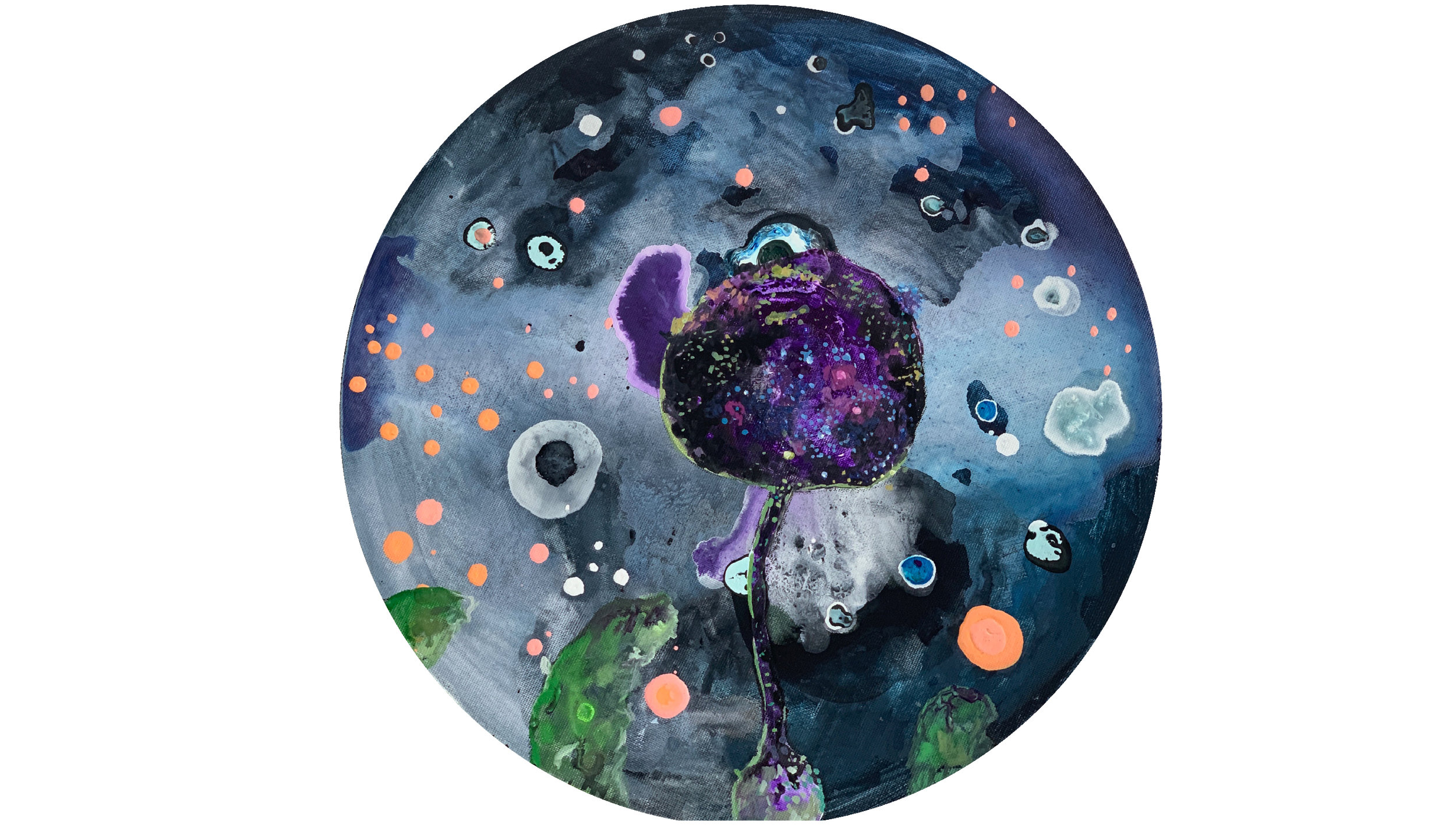 Lamproderma ‘aff’/bakterije zemlje