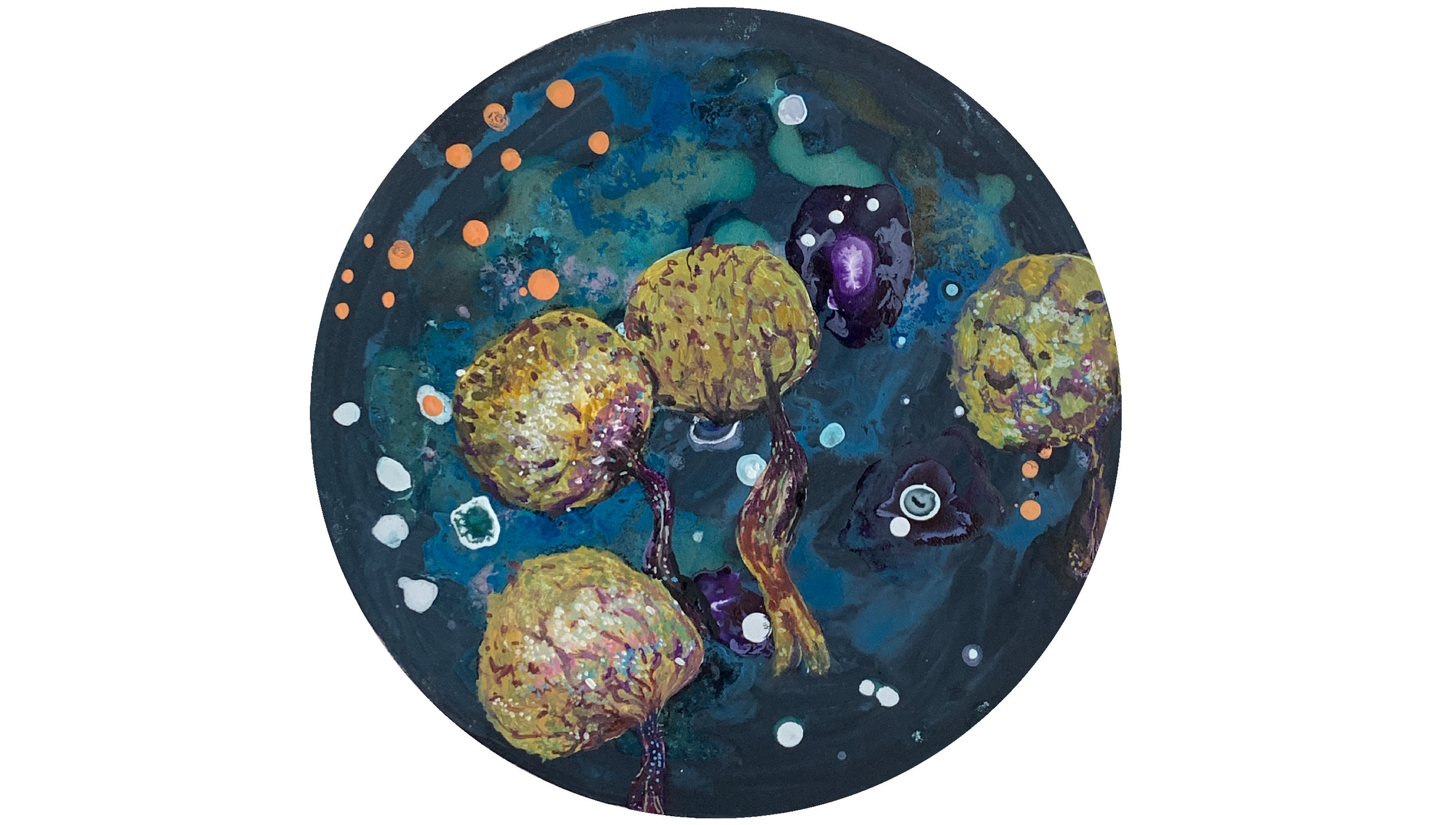 Cribraria sp./bakterije zemlje