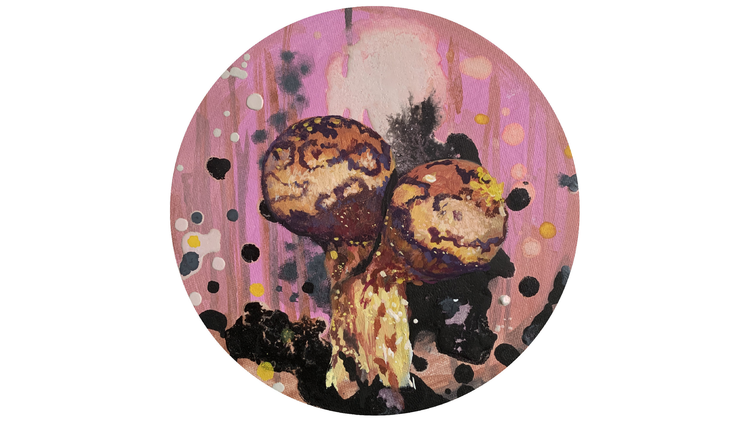 Tricha botrytis/mikroorganizmi v zemlji