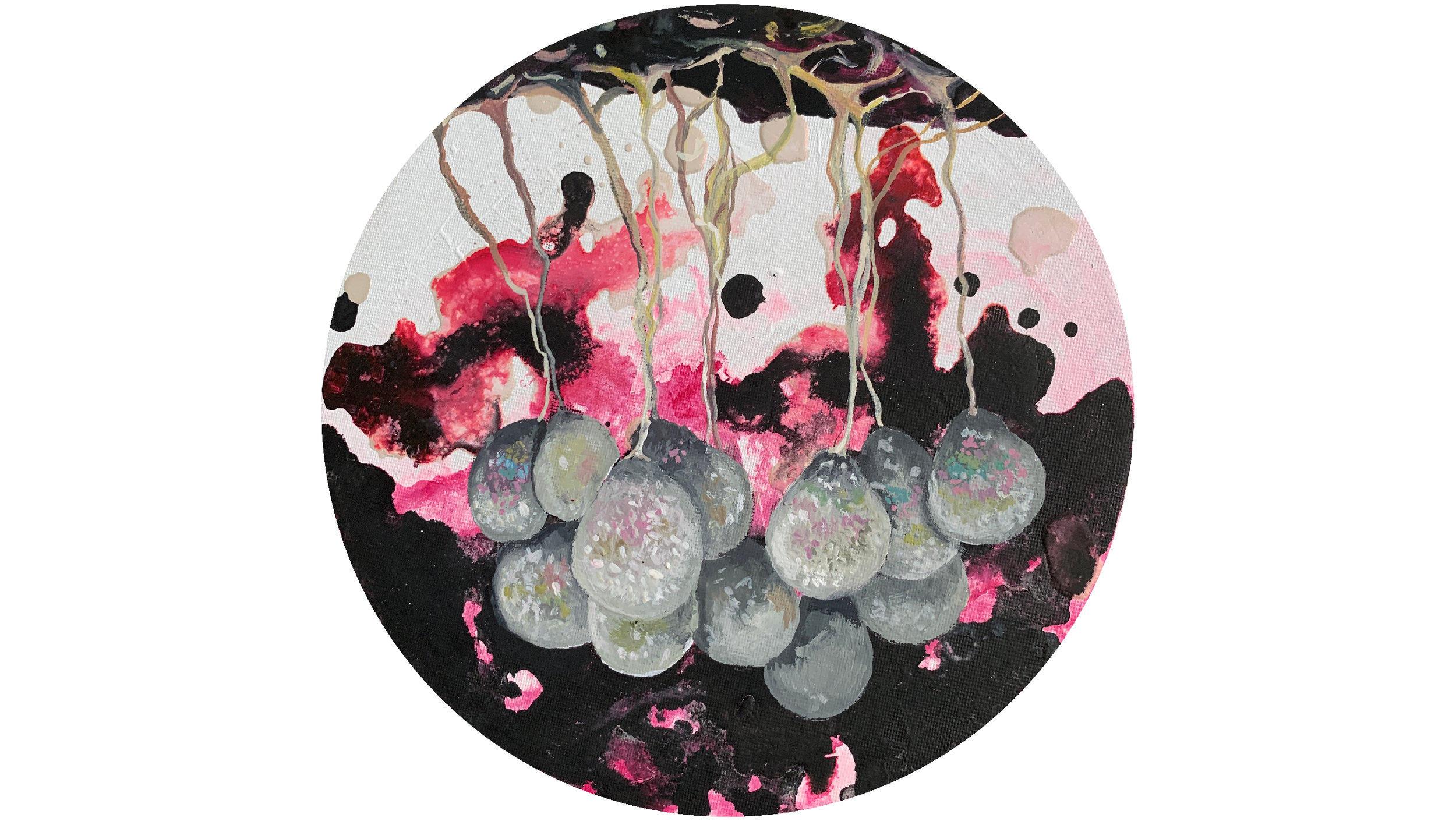 Badhamia utricularis/mikroorganizmi zemlje