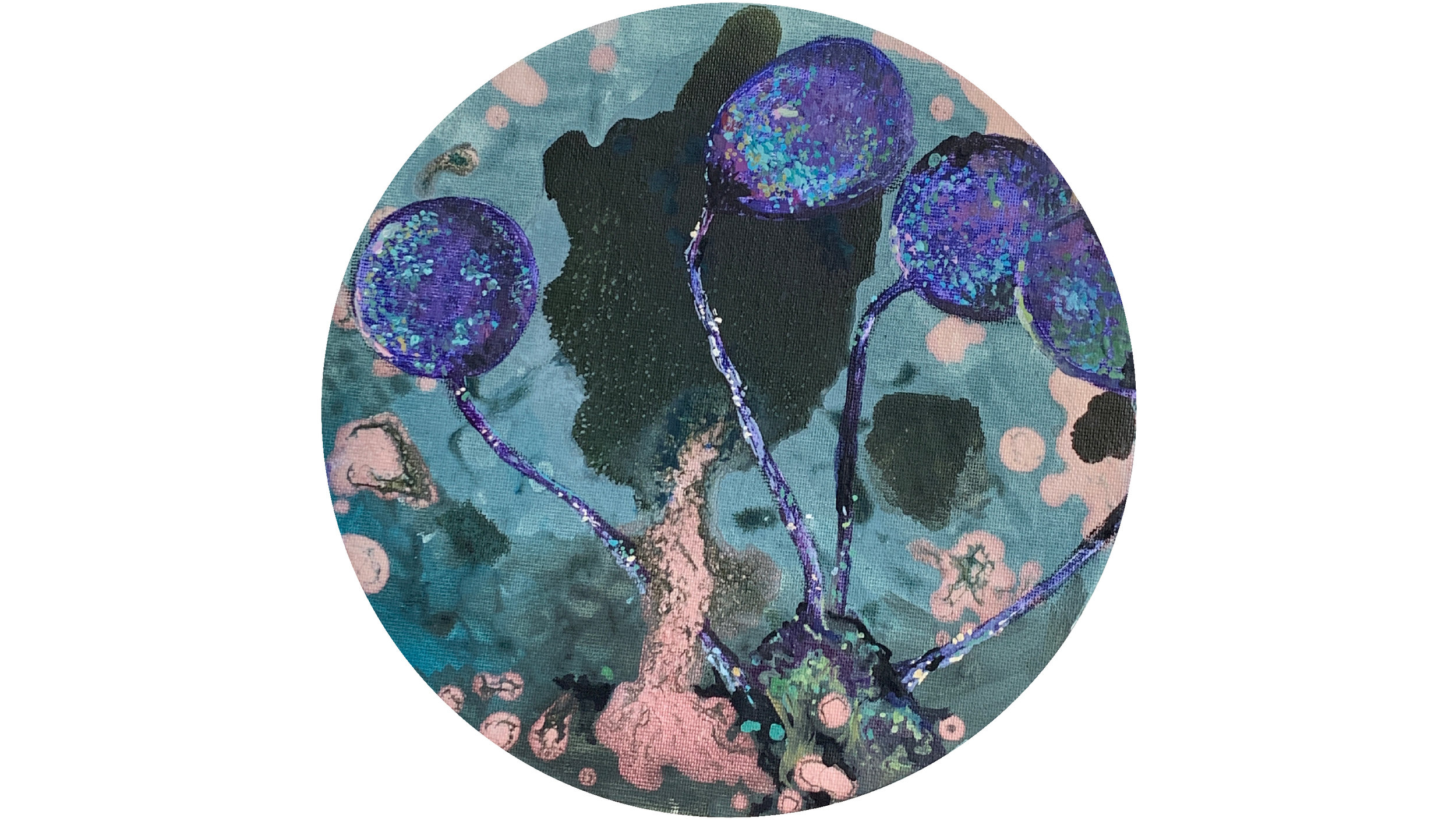 Lampoderma echinulatum/bakterije zemlje