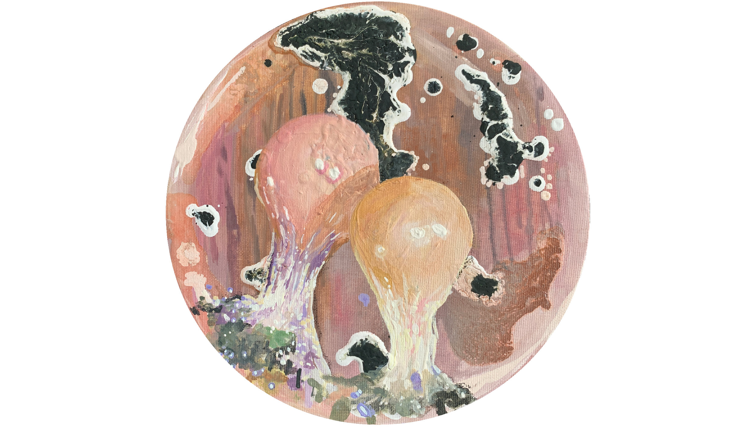 Trichia decipiens/bakterije zemlje