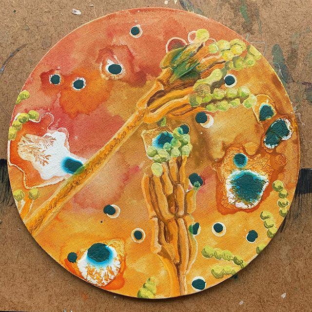 penicillium camemberti  me&scaron;ana tehnika, premer 20 cm