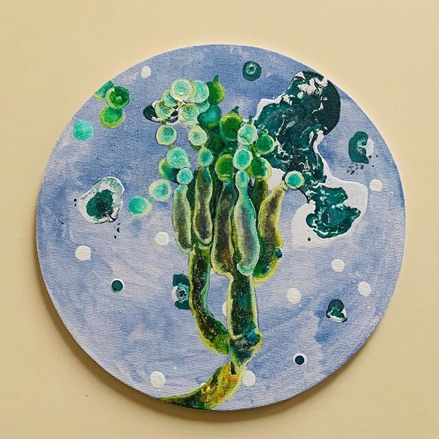 penicillin fungus  me&scaron;ana tehnika, premer 20 cm