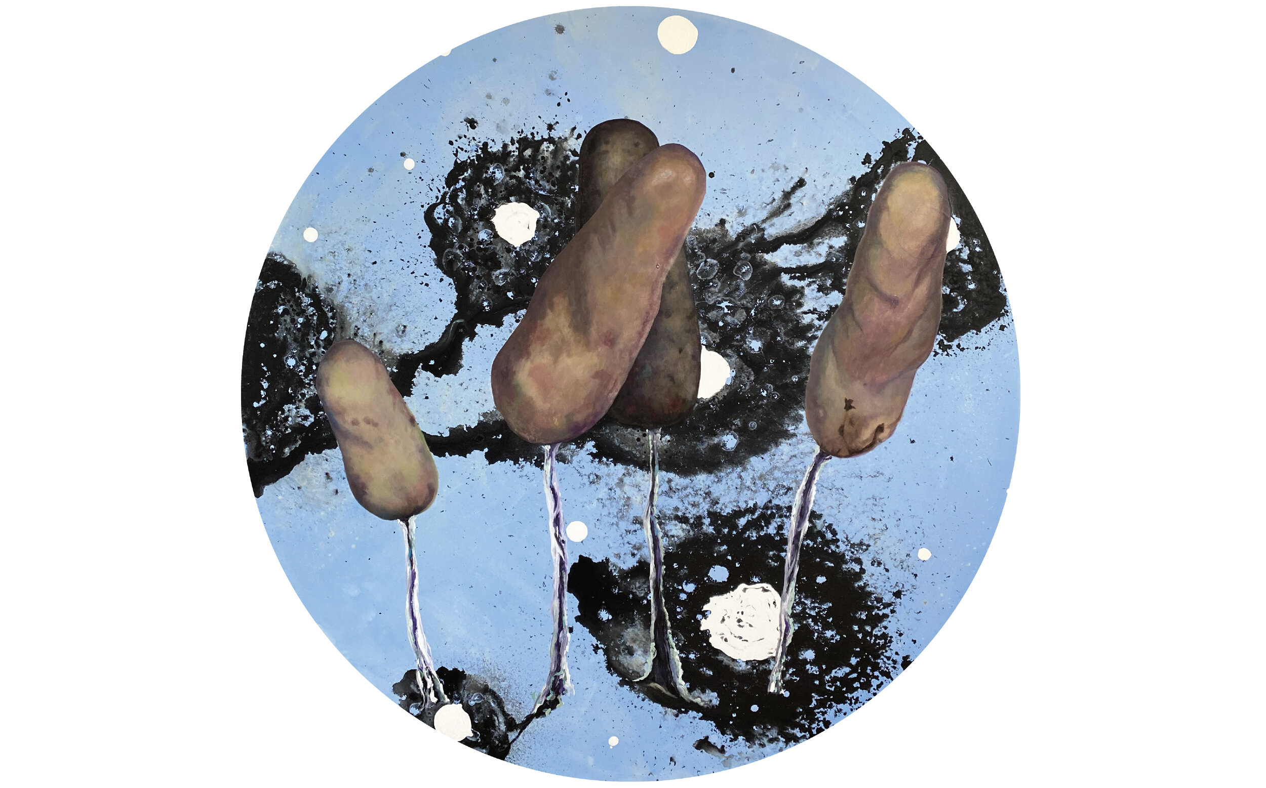 Stemonitopsis typhina